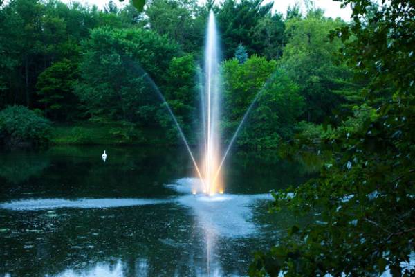 Why Choose Floating Pond Fountains: Benefits