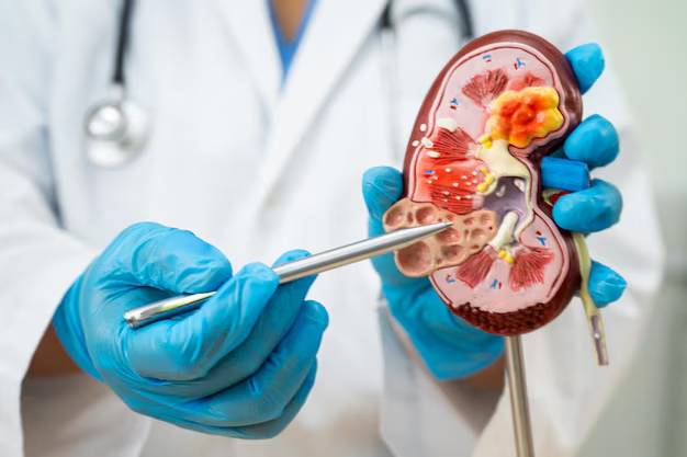 Protecting Your Kidneys: Essential Health Tips and Warning Signs